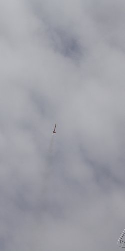 2013 Svojek Mirek Topinka